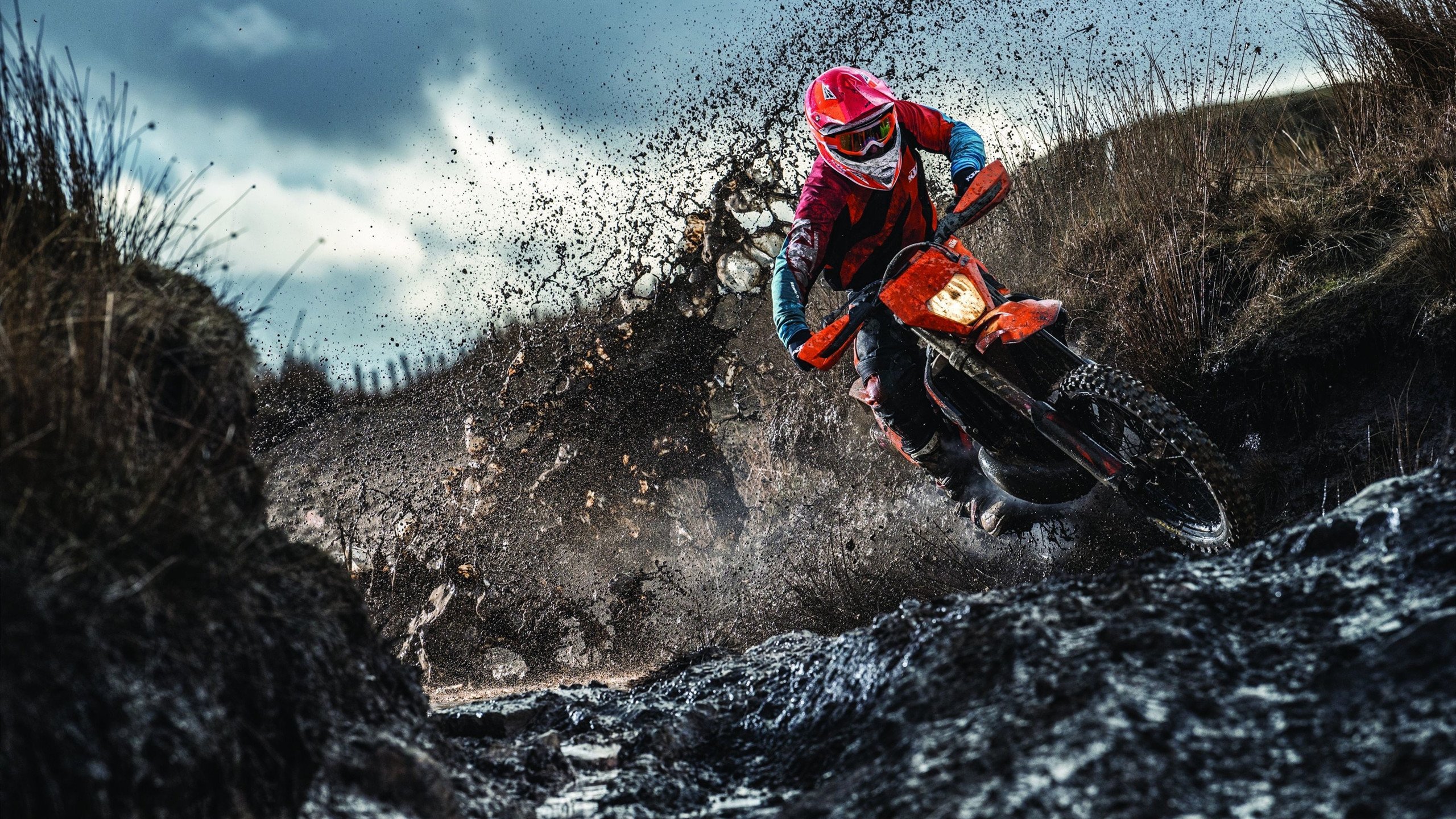 塞恩斯的独角戏，威廉姆斯的战术完胜与迈凯伦的迷失