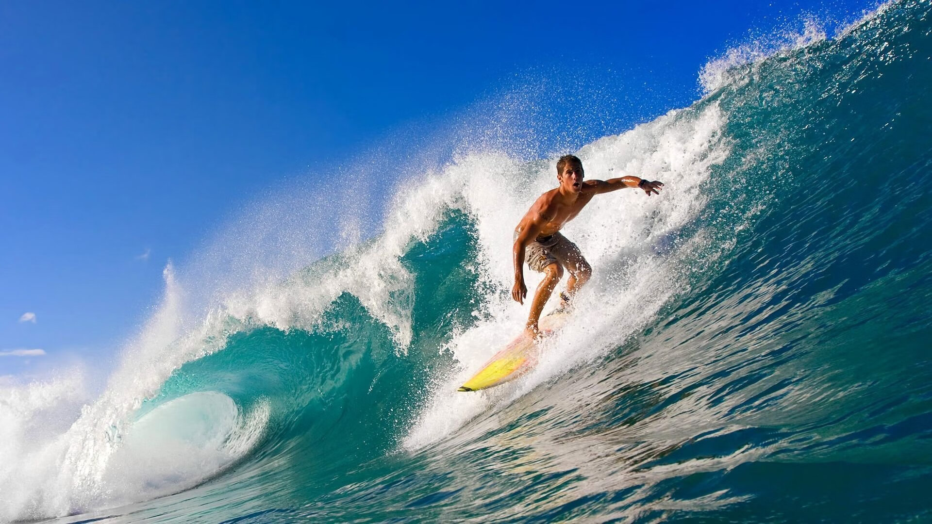 雄鹿逆转北京队,霍勒迪惊艳四座,一场跨越文化的篮球对话