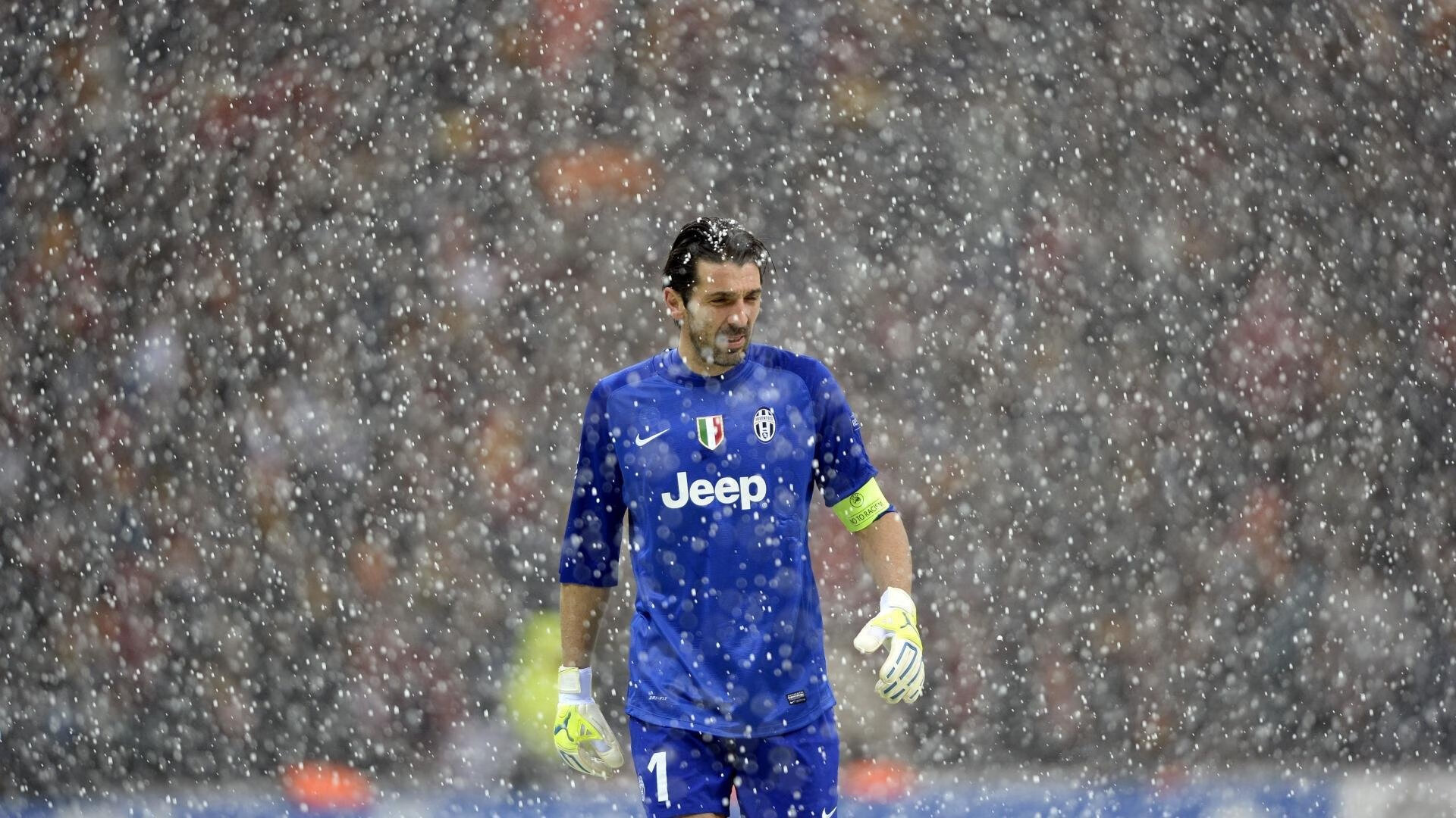 温网绝杀法网，梅德韦杰夫带队取胜，一场跨越红土与草地的战术革命